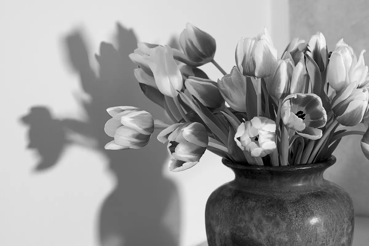 How to Keep Cut Flowers Fresh on a Home Office Desk: A 7-Day Care Routine